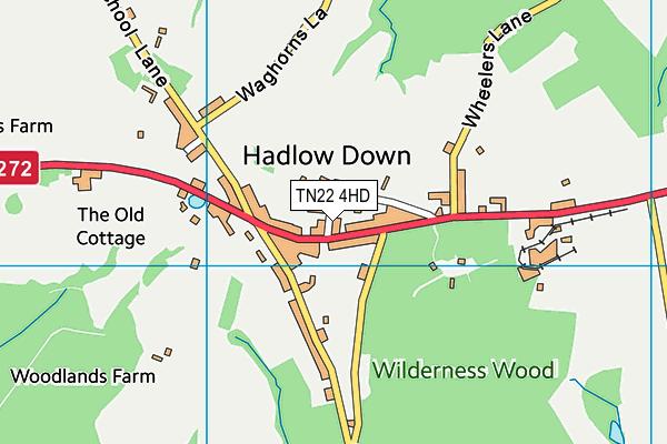 TN22 4HD map - OS VectorMap District (Ordnance Survey)