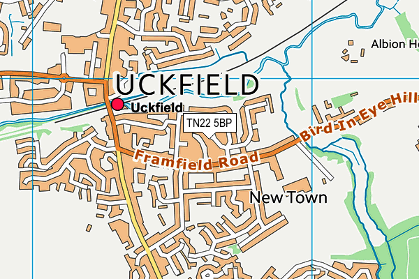 TN22 5BP map - OS VectorMap District (Ordnance Survey)