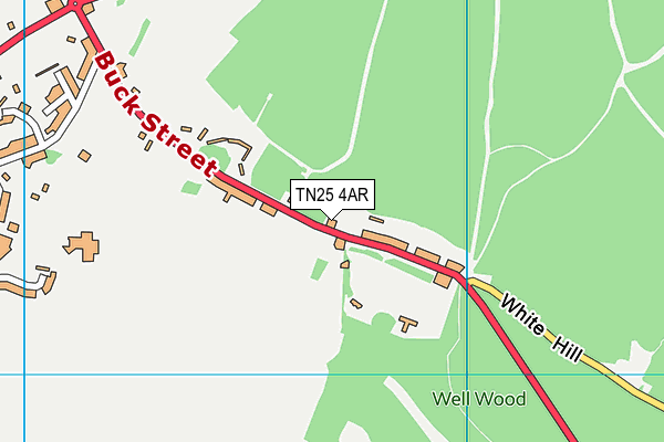 TN25 4AR map - OS VectorMap District (Ordnance Survey)