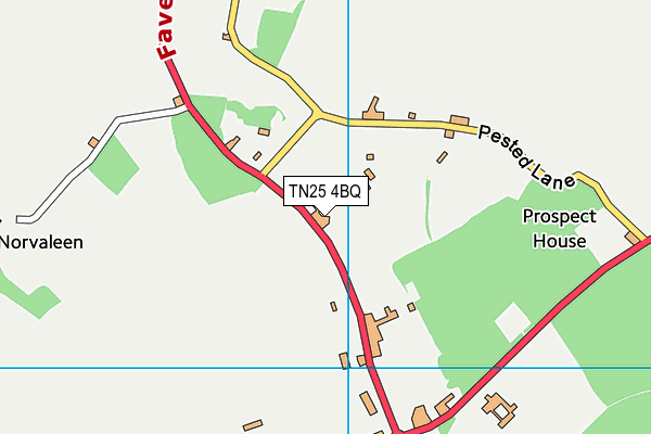 TN25 4BQ map - OS VectorMap District (Ordnance Survey)
