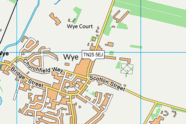 Wye School map (TN25 5EJ) - OS VectorMap District (Ordnance Survey)