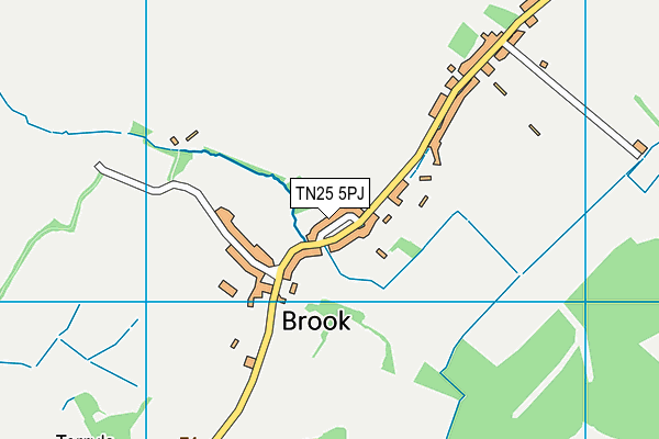TN25 5PJ map - OS VectorMap District (Ordnance Survey)