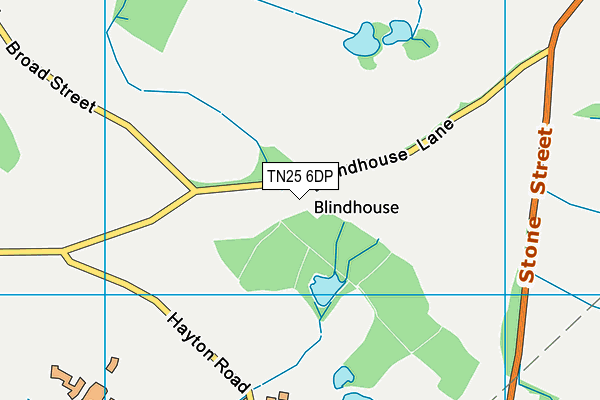 TN25 6DP map - OS VectorMap District (Ordnance Survey)