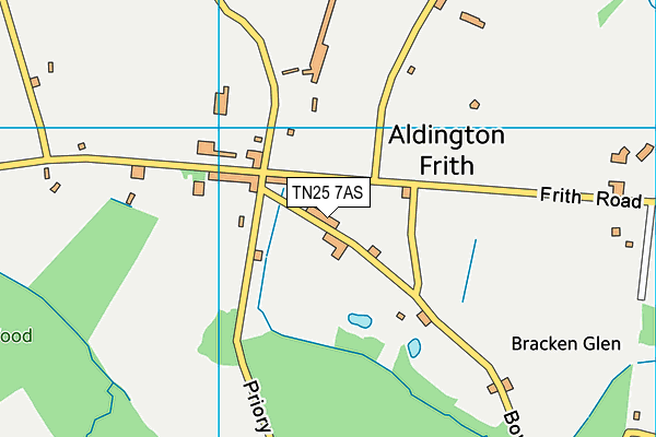 TN25 7AS map - OS VectorMap District (Ordnance Survey)