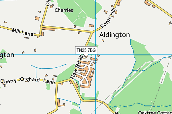 TN25 7BG map - OS VectorMap District (Ordnance Survey)