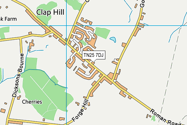 TN25 7DJ map - OS VectorMap District (Ordnance Survey)