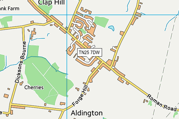 TN25 7DW map - OS VectorMap District (Ordnance Survey)