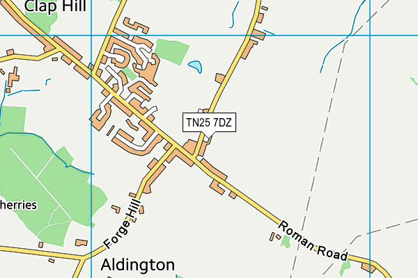TN25 7DZ map - OS VectorMap District (Ordnance Survey)