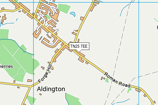 Aldington Primary School map (TN25 7EE) - OS VectorMap District (Ordnance Survey)