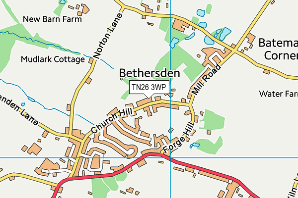 TN26 3WP map - OS VectorMap District (Ordnance Survey)