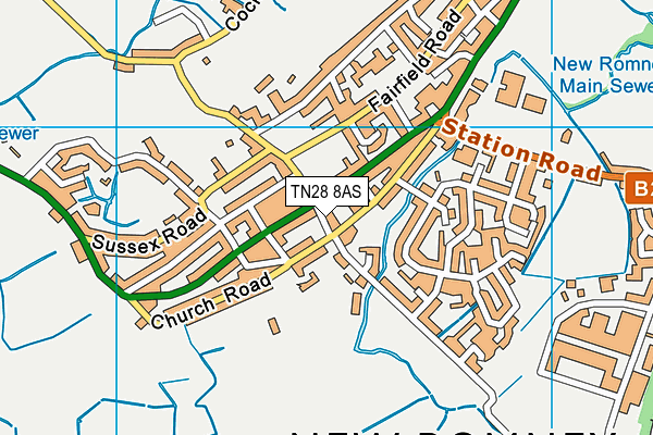 TN28 8AS map - OS VectorMap District (Ordnance Survey)