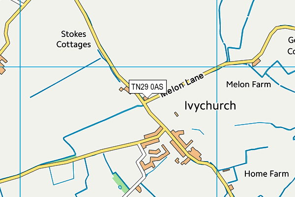 TN29 0AS map - OS VectorMap District (Ordnance Survey)