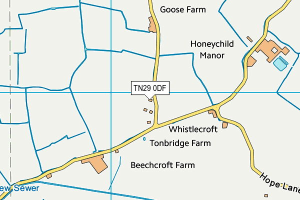 TN29 0DF map - OS VectorMap District (Ordnance Survey)