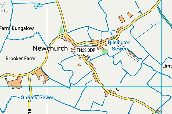 TN29 0DP map - OS VectorMap District (Ordnance Survey)