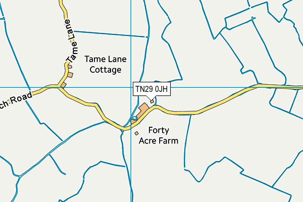 TN29 0JH map - OS VectorMap District (Ordnance Survey)