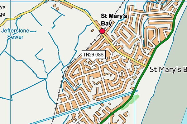 TN29 0SS map - OS VectorMap District (Ordnance Survey)