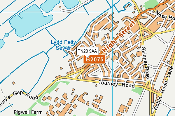 TN29 9AA map - OS VectorMap District (Ordnance Survey)