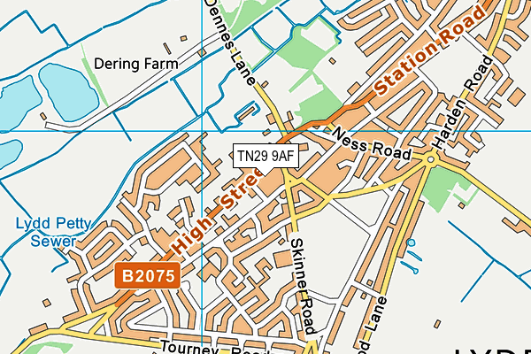 TN29 9AF map - OS VectorMap District (Ordnance Survey)