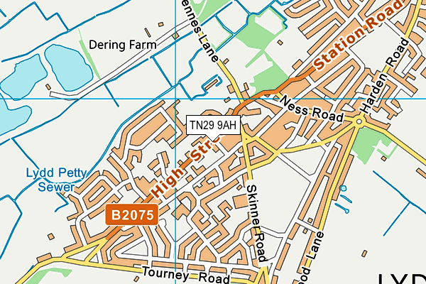 TN29 9AH map - OS VectorMap District (Ordnance Survey)