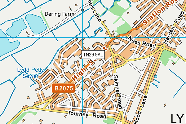 TN29 9AL map - OS VectorMap District (Ordnance Survey)