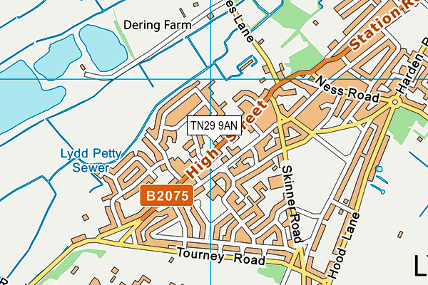 TN29 9AN map - OS VectorMap District (Ordnance Survey)