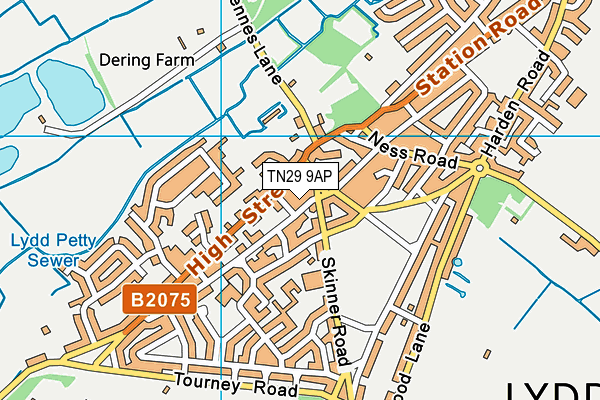 TN29 9AP map - OS VectorMap District (Ordnance Survey)