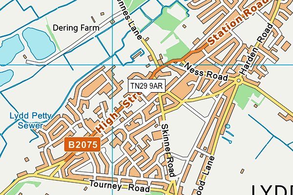TN29 9AR map - OS VectorMap District (Ordnance Survey)