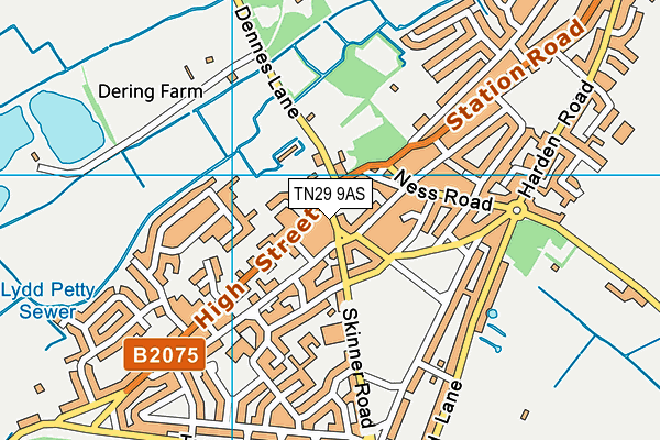 TN29 9AS map - OS VectorMap District (Ordnance Survey)