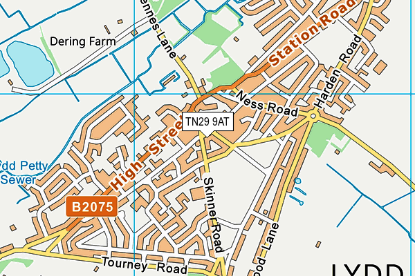 TN29 9AT map - OS VectorMap District (Ordnance Survey)