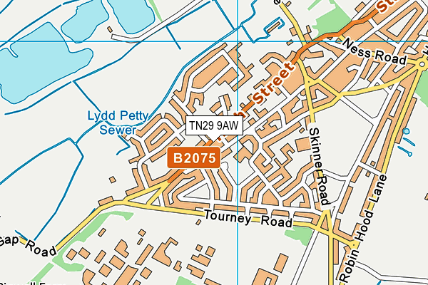 TN29 9AW map - OS VectorMap District (Ordnance Survey)