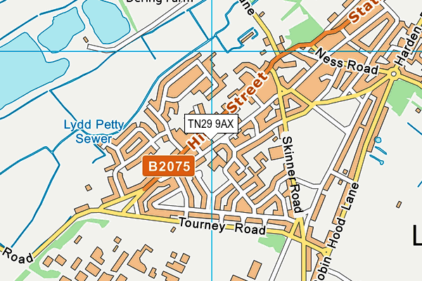 TN29 9AX map - OS VectorMap District (Ordnance Survey)