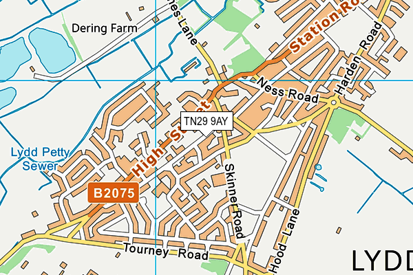 TN29 9AY map - OS VectorMap District (Ordnance Survey)