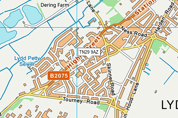 TN29 9AZ map - OS VectorMap District (Ordnance Survey)