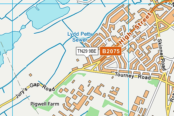 TN29 9BE map - OS VectorMap District (Ordnance Survey)