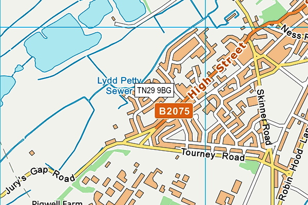 TN29 9BG map - OS VectorMap District (Ordnance Survey)