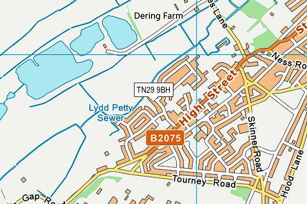 TN29 9BH map - OS VectorMap District (Ordnance Survey)