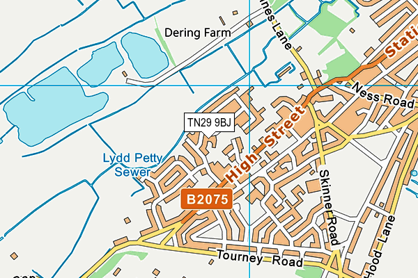 TN29 9BJ map - OS VectorMap District (Ordnance Survey)