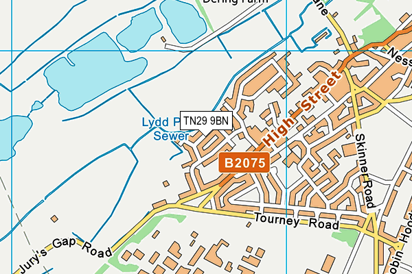 TN29 9BN map - OS VectorMap District (Ordnance Survey)