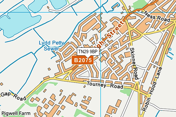 TN29 9BP map - OS VectorMap District (Ordnance Survey)