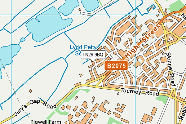 TN29 9BQ map - OS VectorMap District (Ordnance Survey)