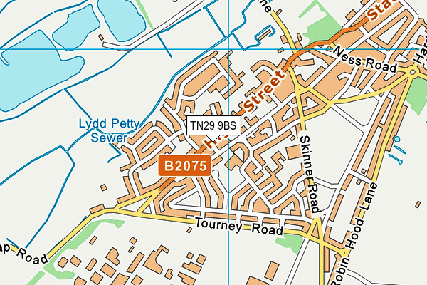 TN29 9BS map - OS VectorMap District (Ordnance Survey)