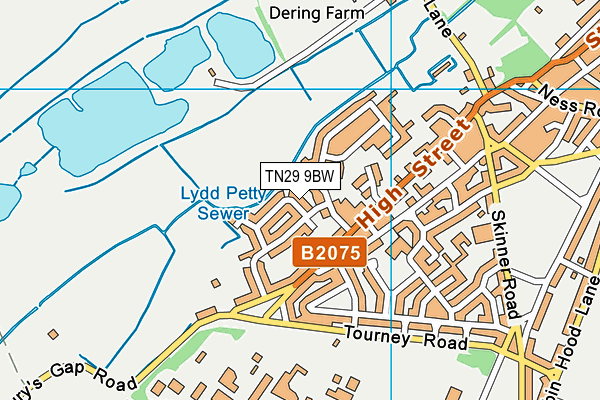 TN29 9BW map - OS VectorMap District (Ordnance Survey)