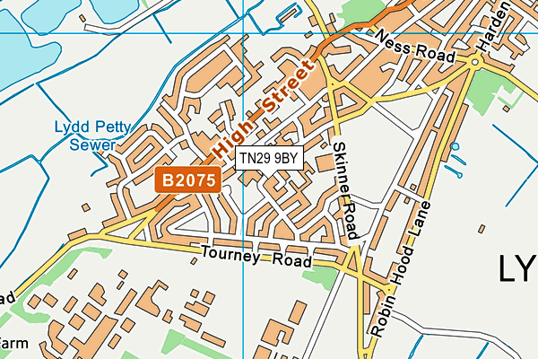 TN29 9BY map - OS VectorMap District (Ordnance Survey)