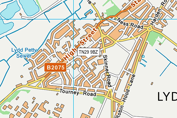 TN29 9BZ map - OS VectorMap District (Ordnance Survey)