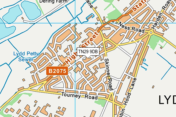 TN29 9DB map - OS VectorMap District (Ordnance Survey)