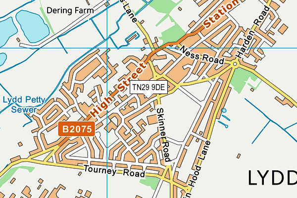 TN29 9DE map - OS VectorMap District (Ordnance Survey)