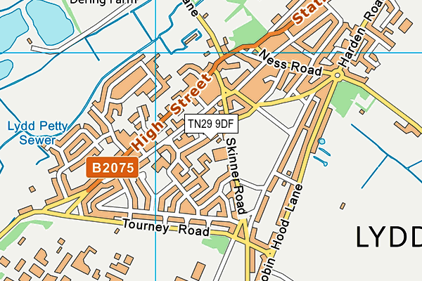 TN29 9DF map - OS VectorMap District (Ordnance Survey)