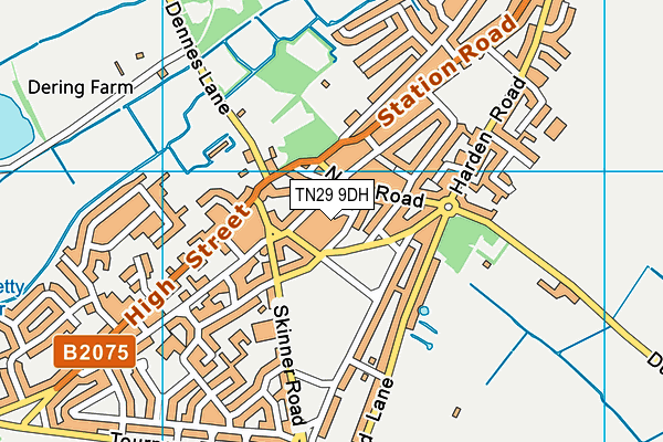 TN29 9DH map - OS VectorMap District (Ordnance Survey)