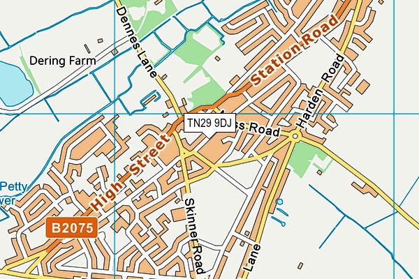 TN29 9DJ map - OS VectorMap District (Ordnance Survey)