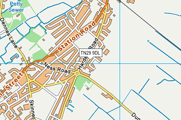 TN29 9DL map - OS VectorMap District (Ordnance Survey)